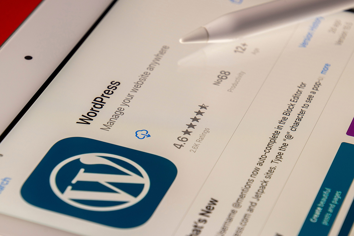 Why Should I Choose WordPress For My Business Website